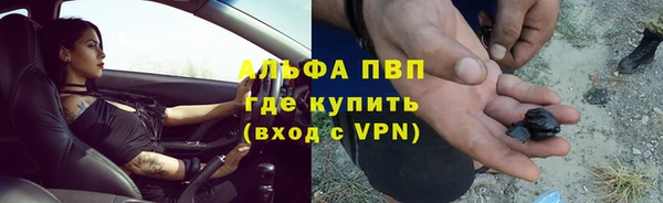 амф Верхний Тагил