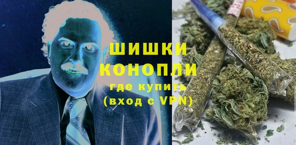 амф Верхний Тагил