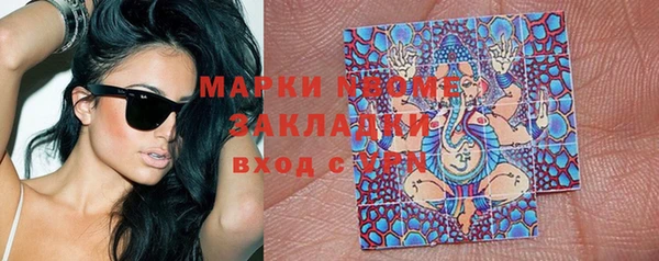 амф Верхний Тагил