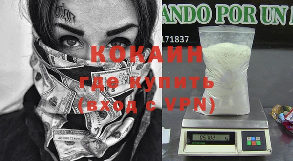 амф Верхний Тагил