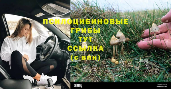 амф Верхний Тагил