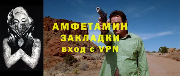 амф Верхний Тагил
