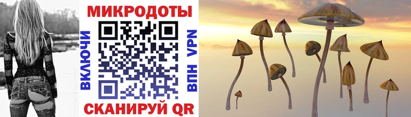 mega рабочий сайт  как найти   Новоуральск  Галлюциногенные грибы MAGIC MUSHROOMS 