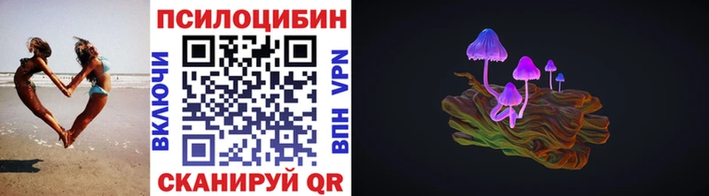 Галлюциногенные грибы Psilocybine cubensis Новоуральск